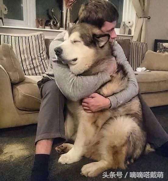 曝C罗已同意内马尔加盟皇马!不担心失去一哥地位“太阳成集团tyc”(图2) 太阳集团tyc